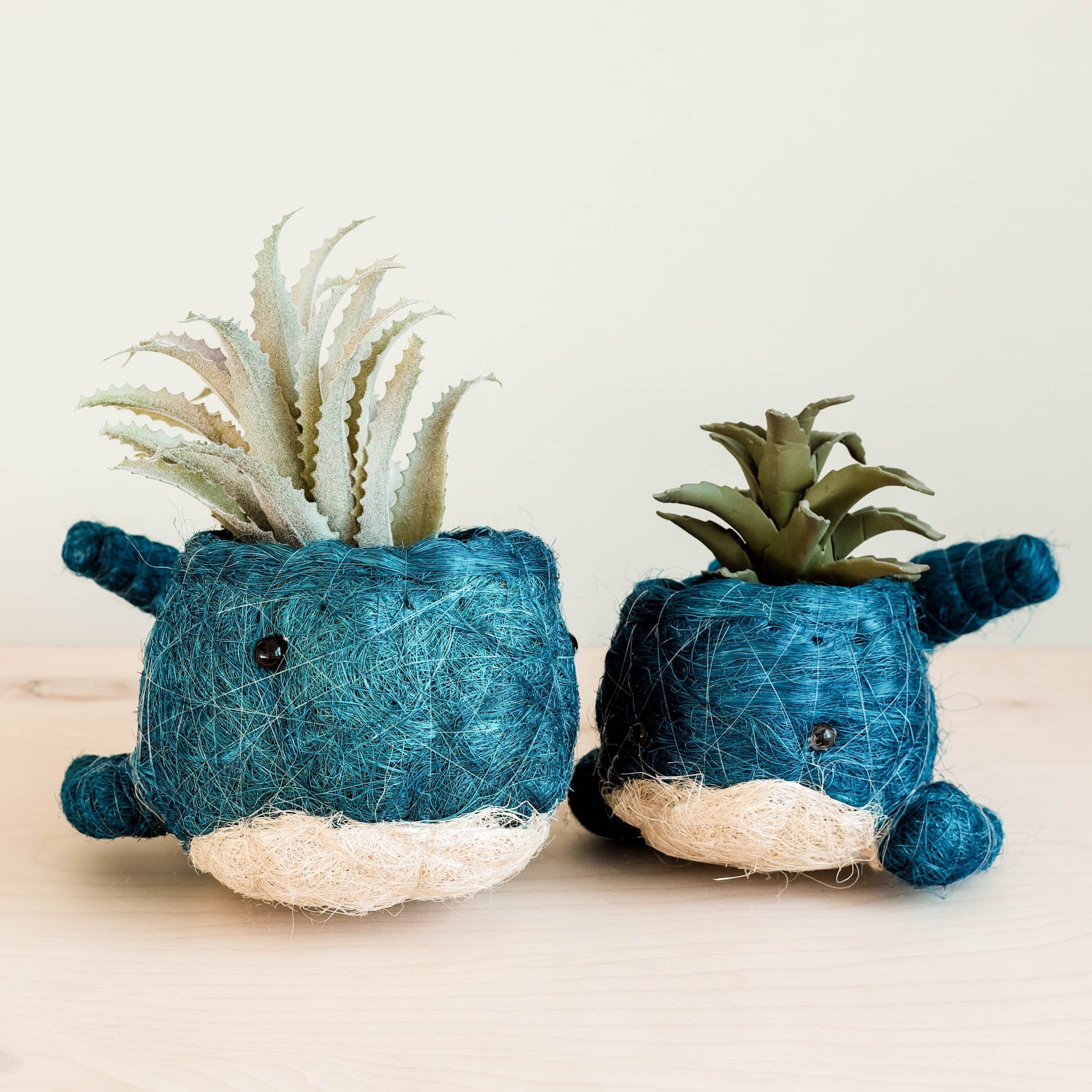 Two blue whale-shaped planters with succulents on a light background