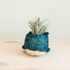 Blue textured planter with a small plant on a light wooden surface