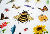 Matte vinyl pollinator stickers featuring bee and butterfly designs