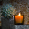 Close-up of Bluecorn pure beeswax votive candles showing natural golden wax colour