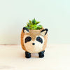 Fox-shaped planter with a succulent on a light background