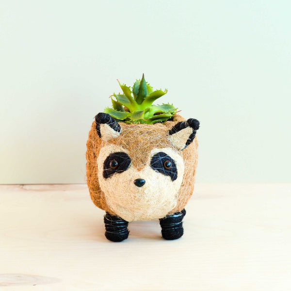 Fox-shaped planter with a succulent on a light background