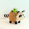 Raccoon-shaped planter with a succulent on a light background