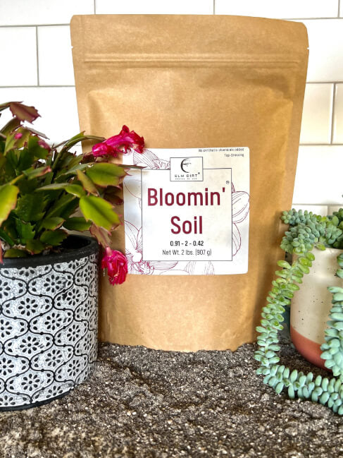Bag of Bloomin' Soil with potted plants on a neutral background