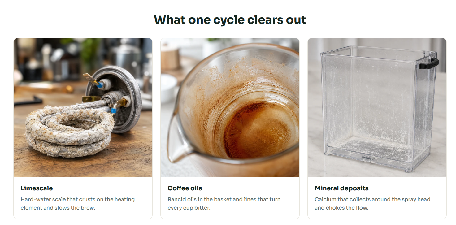 Renuv Coffee Maker Cleaner & Descaler Tablets – 12 Uses