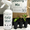 Kelp Mist spray bottle with seedling mix and seedlings on a table