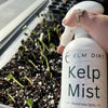 Elm Dirt 5lb organic seedling mix bag for healthy seed germination and damping off prevention