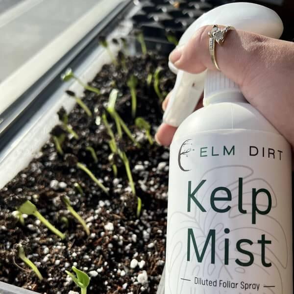 Elm Dirt 5lb organic seedling mix bag for healthy seed germination and damping off prevention