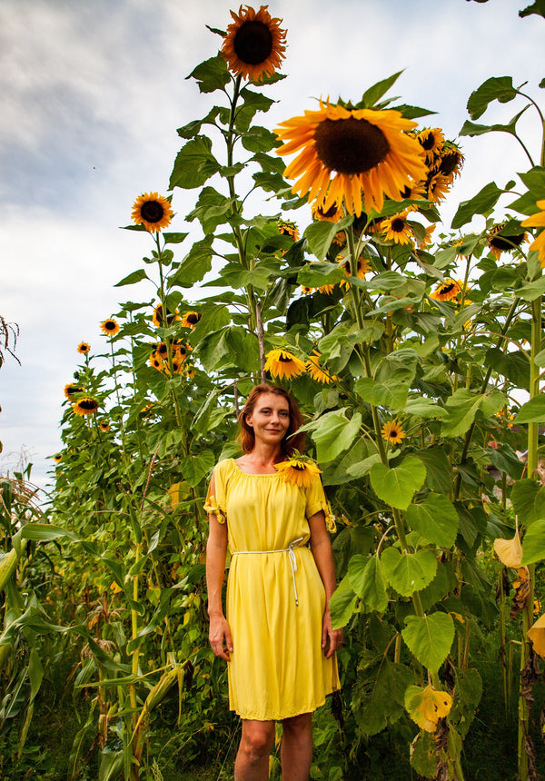 Early Mammoth Russian Sunflower Seeds: Grow Giant, Edible, & Easy-Care Blooms