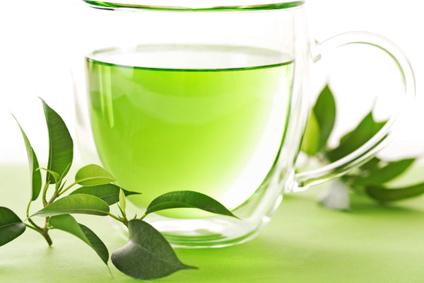 Grow your own black & green tea with 1 Lb of Bulk Tea Plant seeds (Camellia Sinensis). Non-GMO, fragrant flowers, evergreen shrub. Harvest fresh leaves for 100+ years! Sustainable, eco-friendly, unique gift.