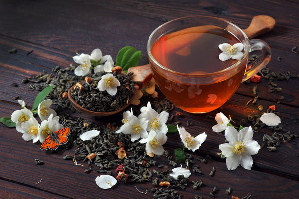 buy tea plant seeds 1 lb Bulk Tea PLANT Black & Green Drinking Tea Camellia Sinensis Tree Shrub Herb Flower