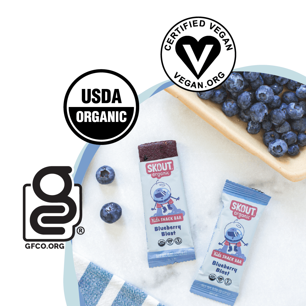 Skout Organic Blueberry Blast Kids Bar — eco-friendly organic snack bar, great gift for kids and families