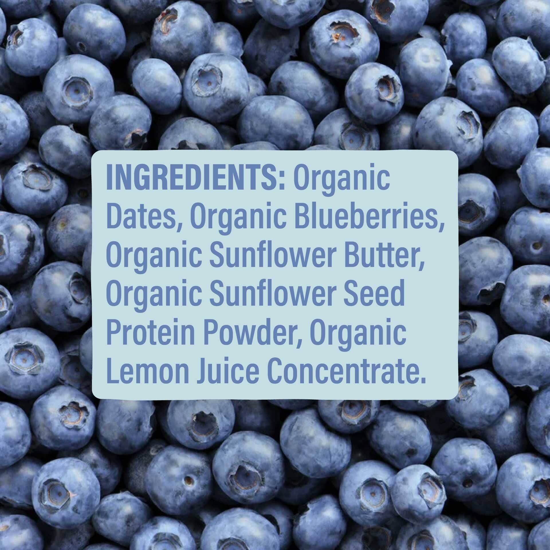 Skout Organic Kids Bar blueberry flavour — plant-based, organic, and lunchbox-ready snack for kids