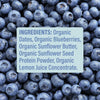 Skout Organic Kids Bar blueberry flavour — plant-based, organic, and lunchbox-ready snack for kids
