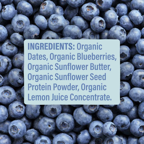 Skout Organic Kids Bar blueberry flavour — plant-based, organic, and lunchbox-ready snack for kids