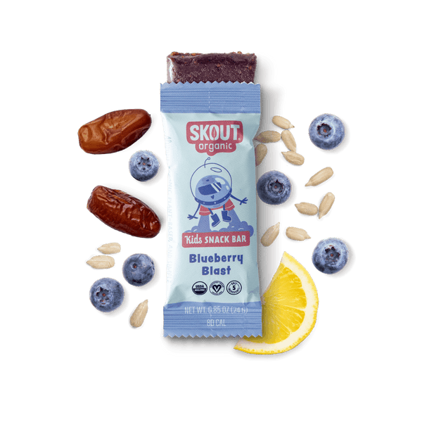 Skout Organic Blueberry Blast Kids Bar made with 5 organic ingredients including blueberries and sunflower butter