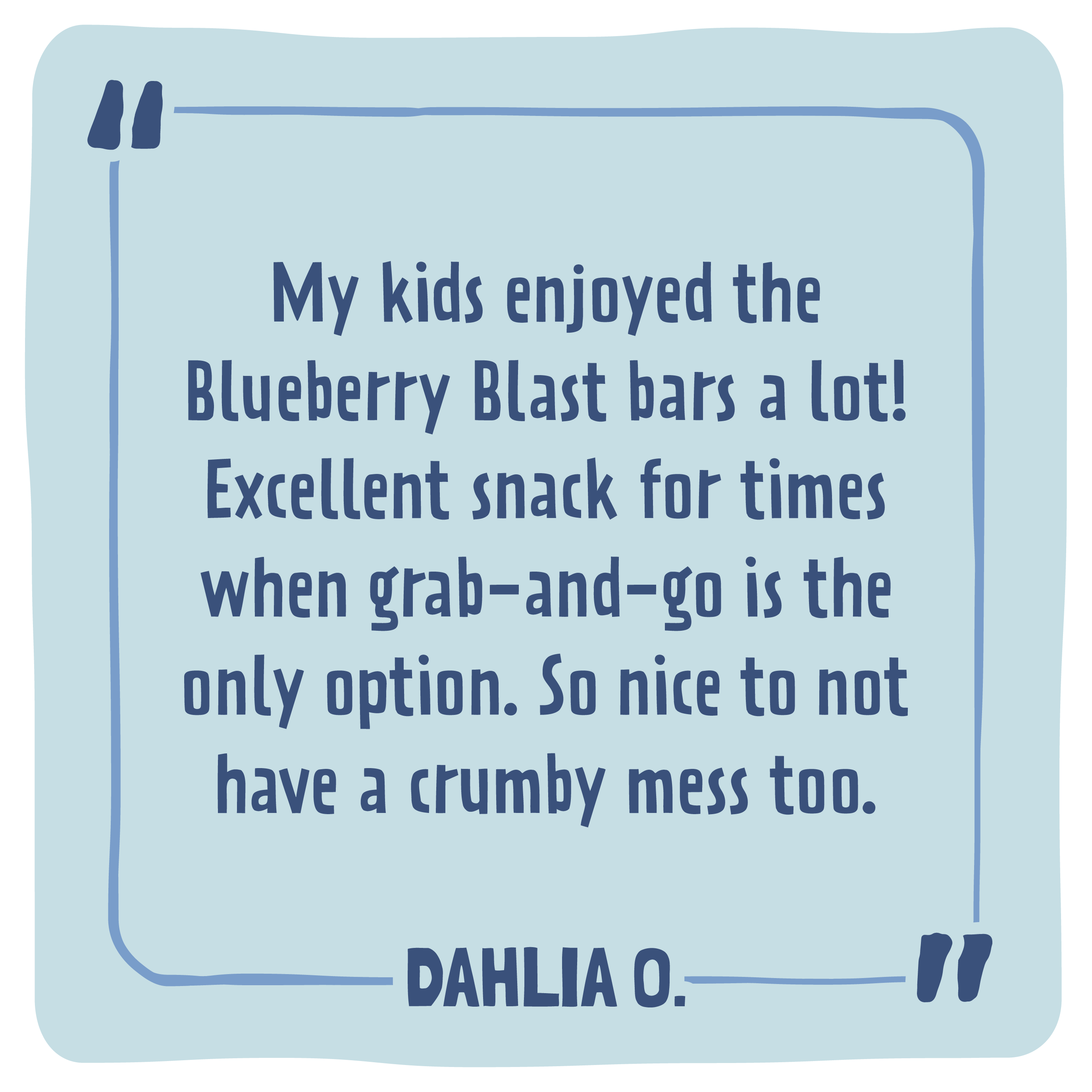 Close-up of Skout Organic Blueberry Blast Bar showing wholesome organic ingredients and natural fruit flavour