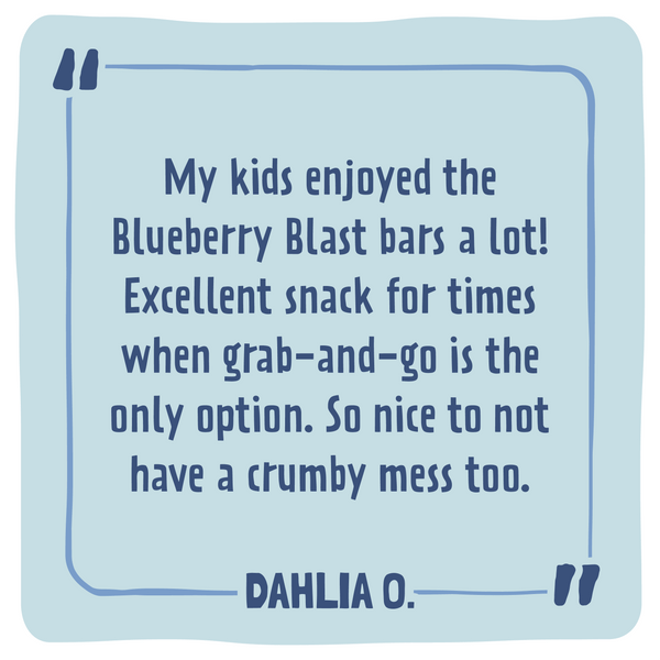 Close-up of Skout Organic Blueberry Blast Bar showing wholesome organic ingredients and natural fruit flavour