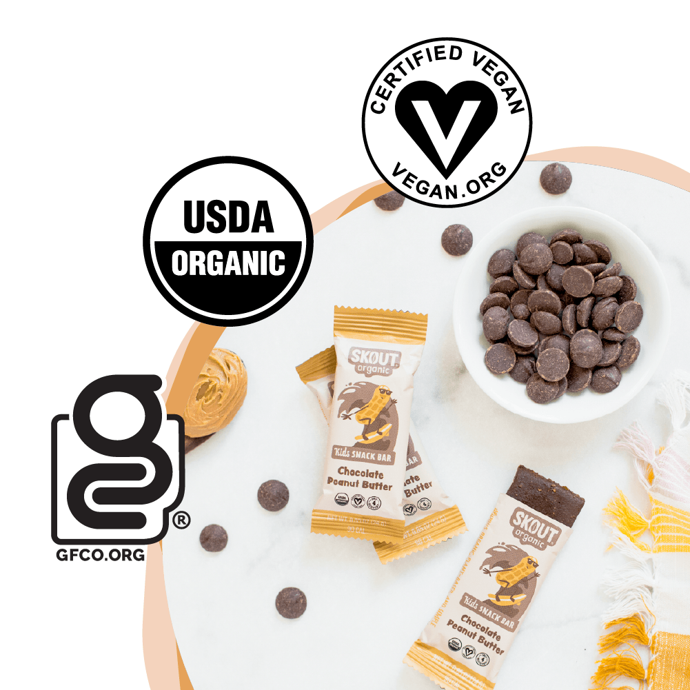 Skout Organic Chocolate Peanut Butter Kids Bar