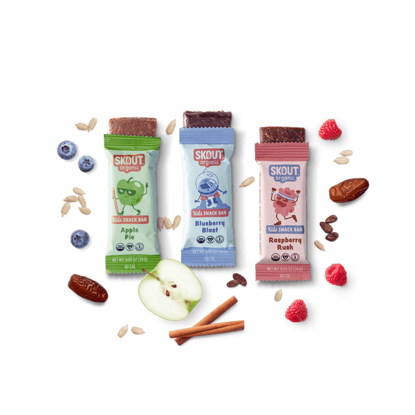 Skout Organic Kids Fruit Bar Variety Pack — nut-free, gluten-free, plant-based kids snack bars