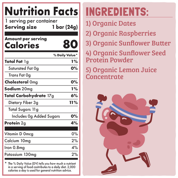 Skout Organic Raspberry Rush Kids Bar packaging — plant-based snack for kids