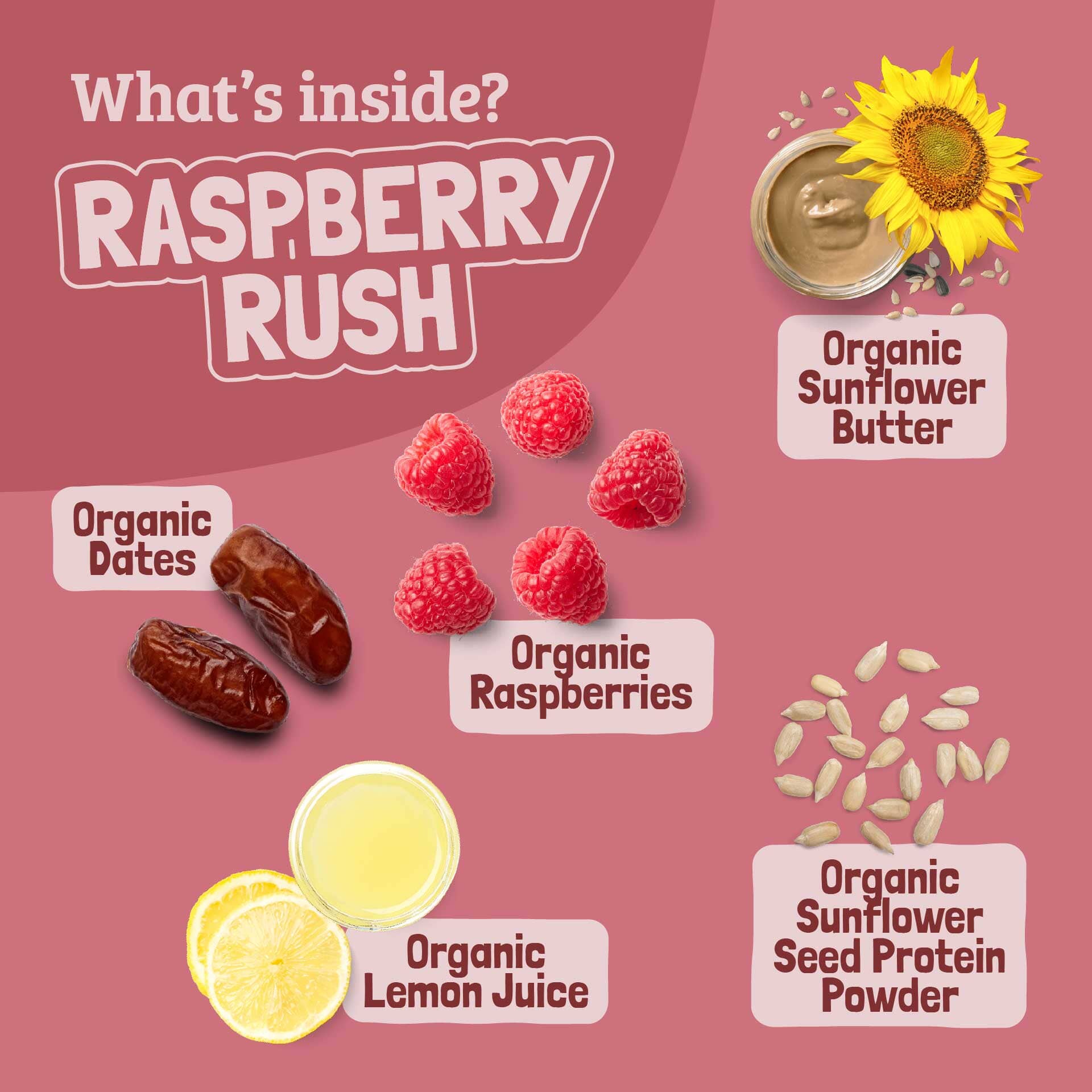 Skout Organic Raspberry Rush Kids Bar on a natural background — clean-ingredient kids snack