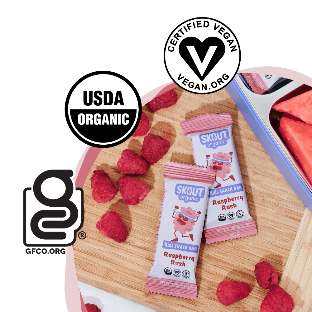 Skout Organic Raspberry Rush Kids Bar | 5 Organic Ingredients
