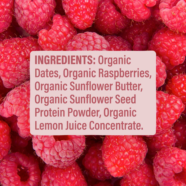 Skout Organic Raspberry Rush Kids Bar | 5 Organic Ingredients