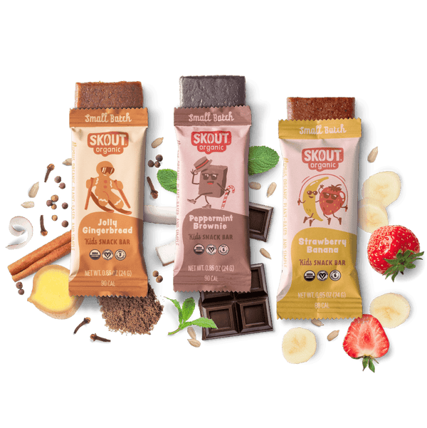 Skout Organic Small Batch Kids Bar Bundle