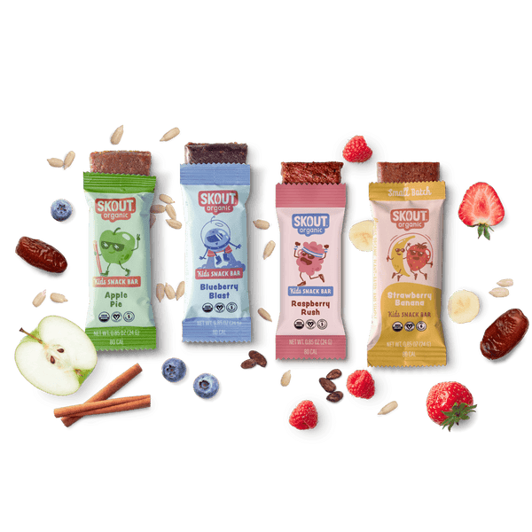 Skout Organic Small Batch Kids Fruit Bar Variety Pack