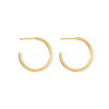 Gold hoop earrings on a white background
