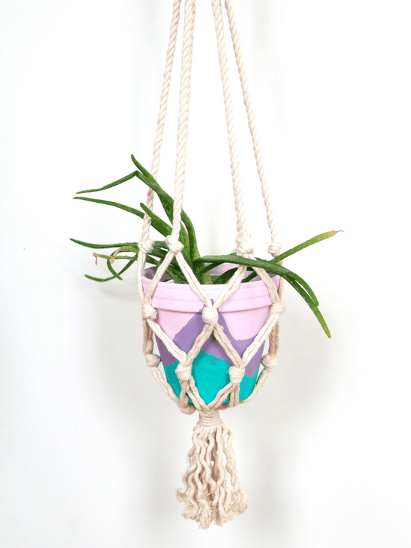 Small recycled macramé plant hanger holding a 4 to 6 inch pot — Fair Anita