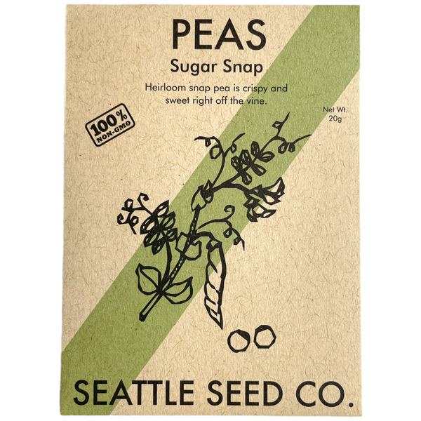 Fresh Sugar Snap Pea pods harvested from the garden, showing plump 2.5 to 3 inch pods from Seattle Seed Company