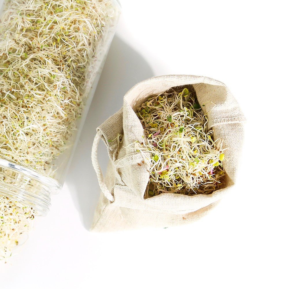 Sproutman's reusable hemp Sprout Bag for growing organic sprouted greens