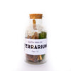 DIY terrarium kit with glass jar, reindeer moss, activated charcoal, and potting soil from Seattle Seed Company
