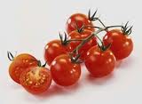 Close-up of ripe Sweetie cherry tomatoes ready to harvest from the garden