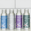 Close-up of Plaine Products reusable travel size body wash bottle in aluminum with pump