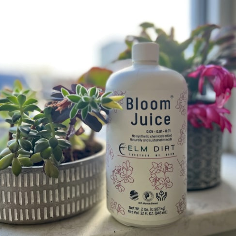 Bloom Juice - Our Award-Winning Formula for Spectacular Flowers