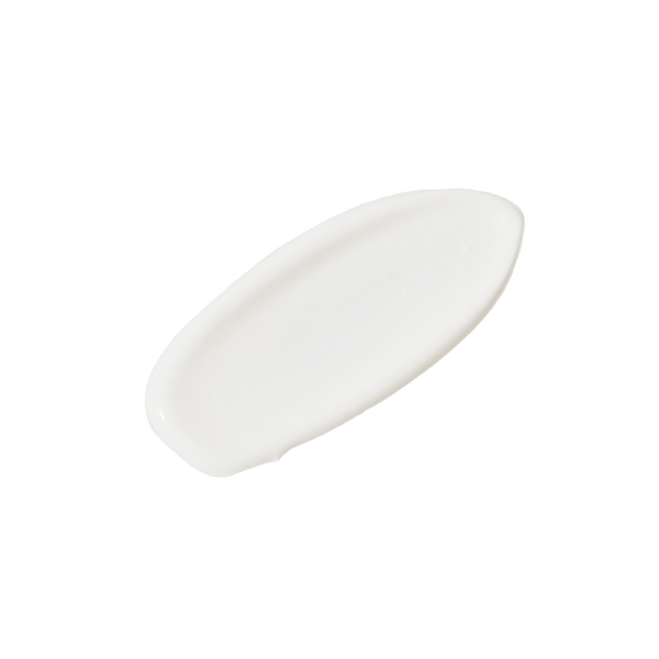 White ceramic plate on a transparent background