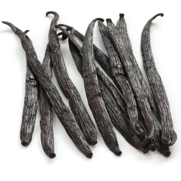 Vanilla beans on a white background