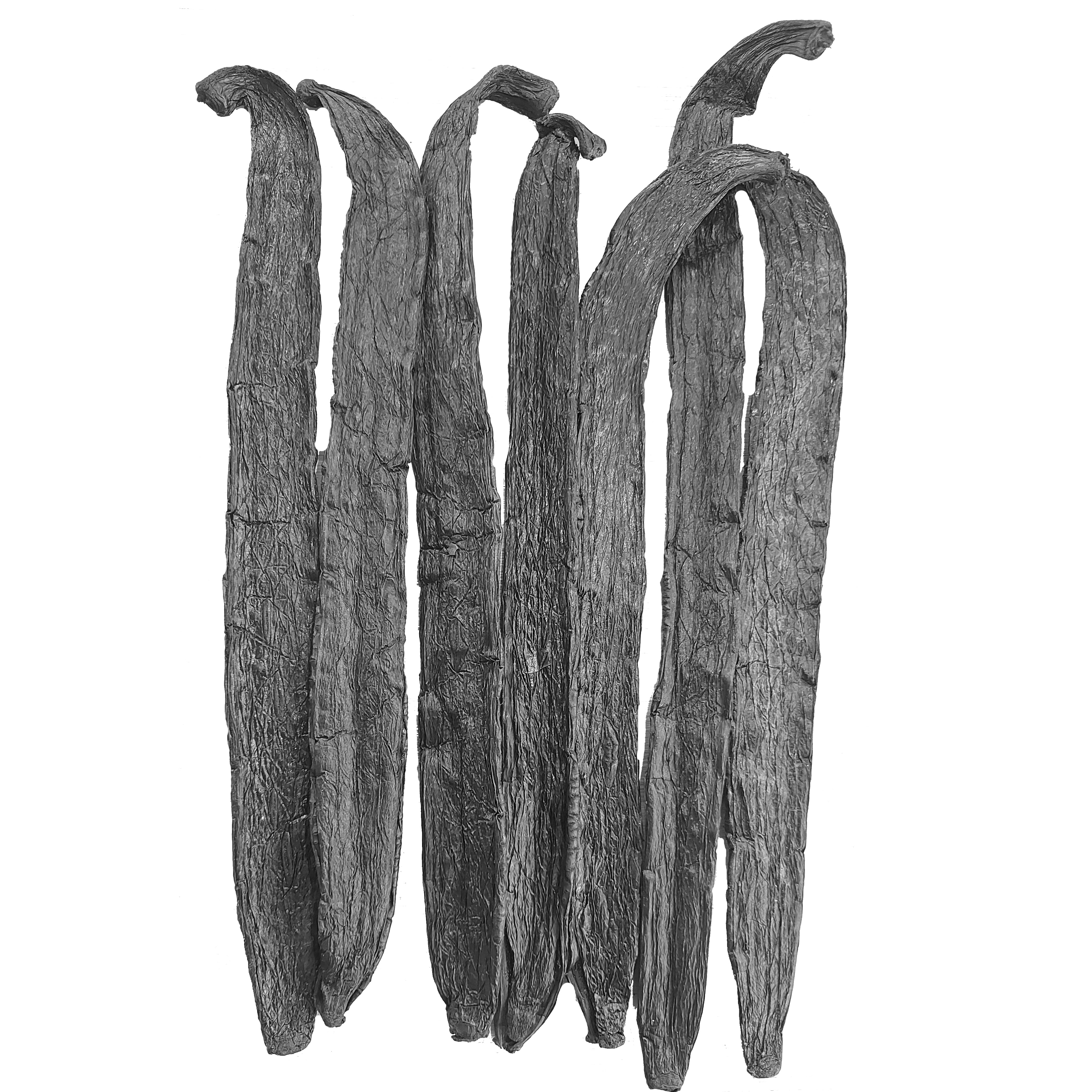 Five dried vanilla beans on a white background