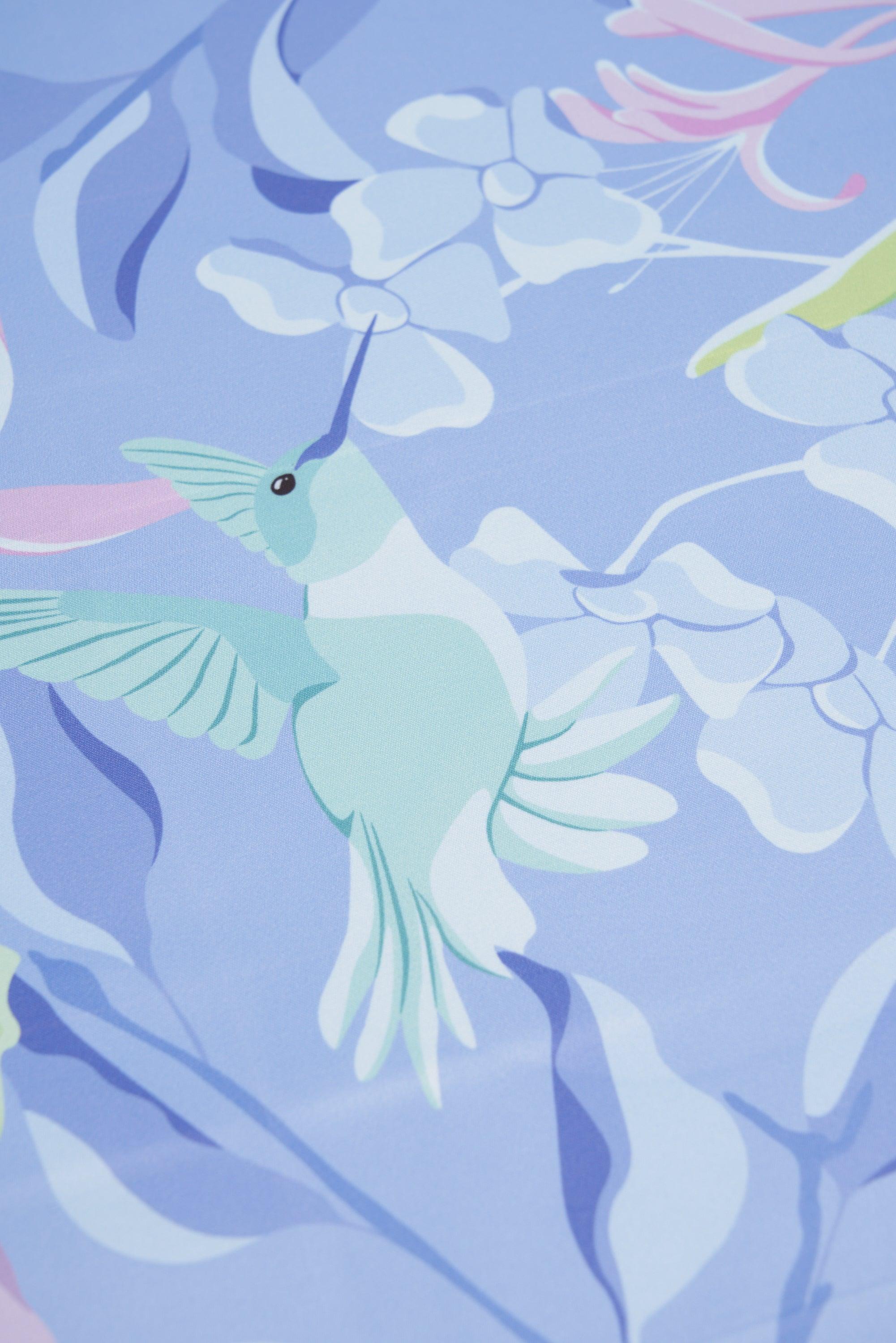 Illustration of a hummingbird and flowers on a light blue background