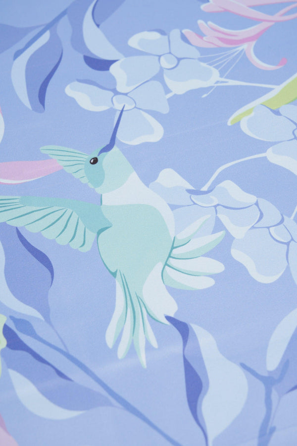 Illustration of a hummingbird and flowers on a light blue background