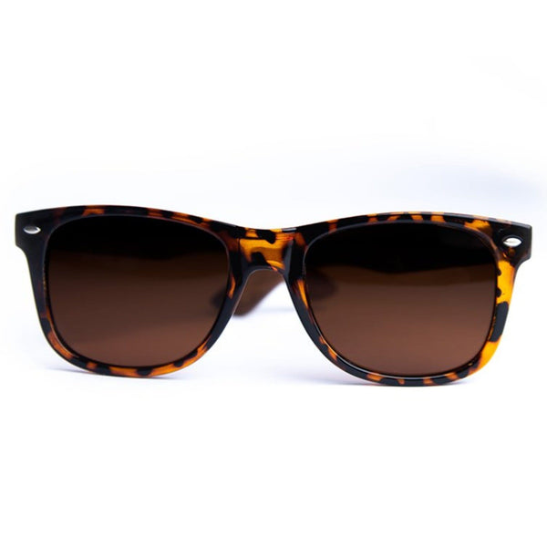 Joycoast Crush walnut wood sunglasses with brown polarized lenses on white background