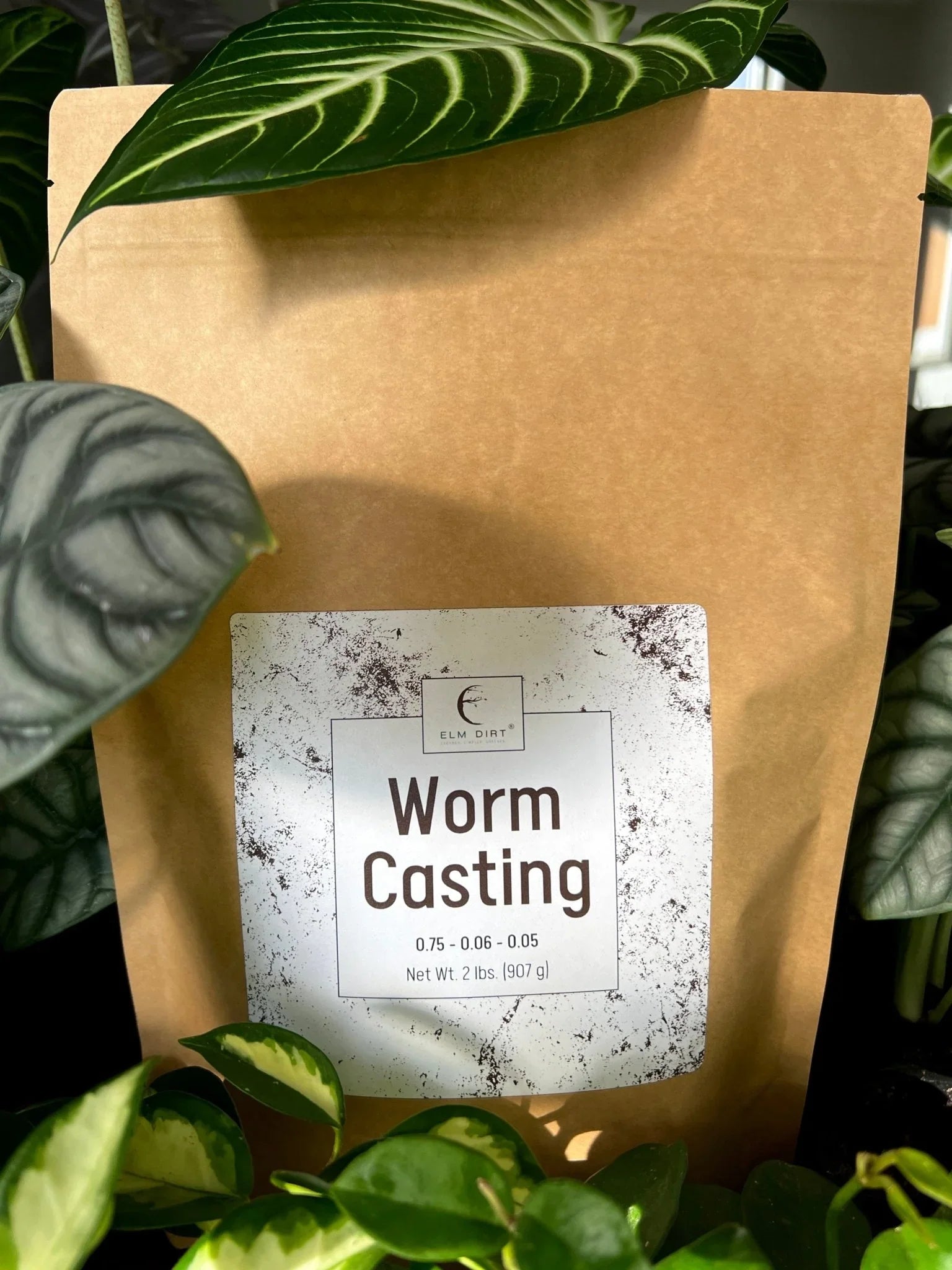 Premium Organic Worm Castings – 2 lbs | Natural Garden Fertilizer