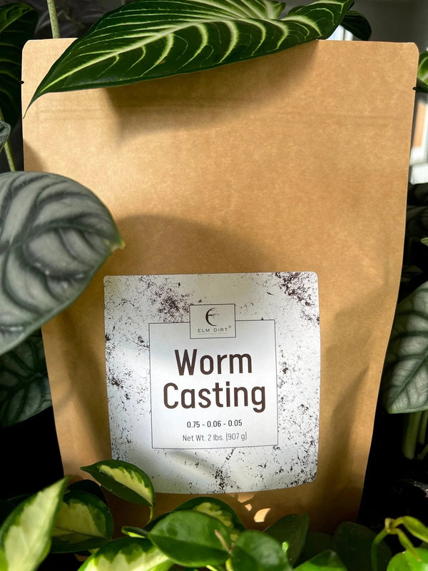Premium Organic Worm Castings – 2 lbs | Natural Garden Fertilizer