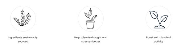 Set of three icons with plant-related text on a white background