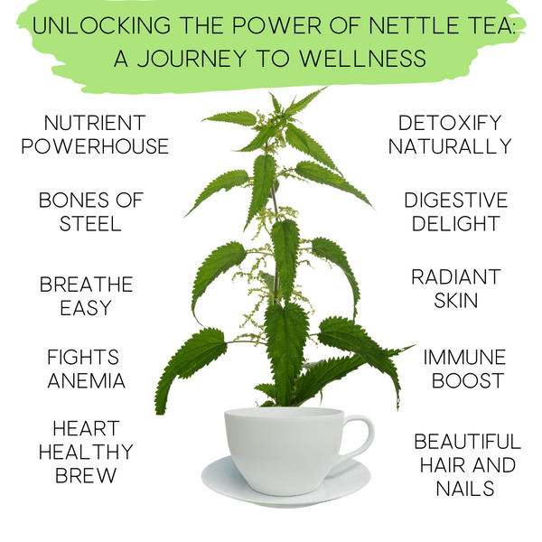 Nettle Tea