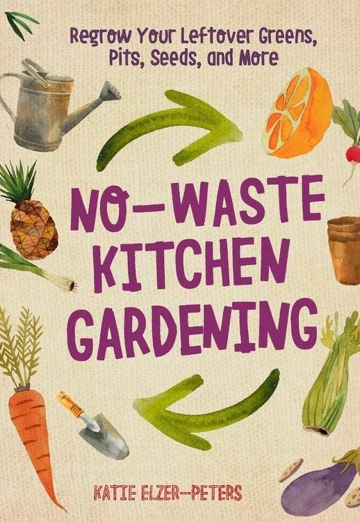 No-Waste Kitchen Gardening: Grow a Garden from Your Scraps!