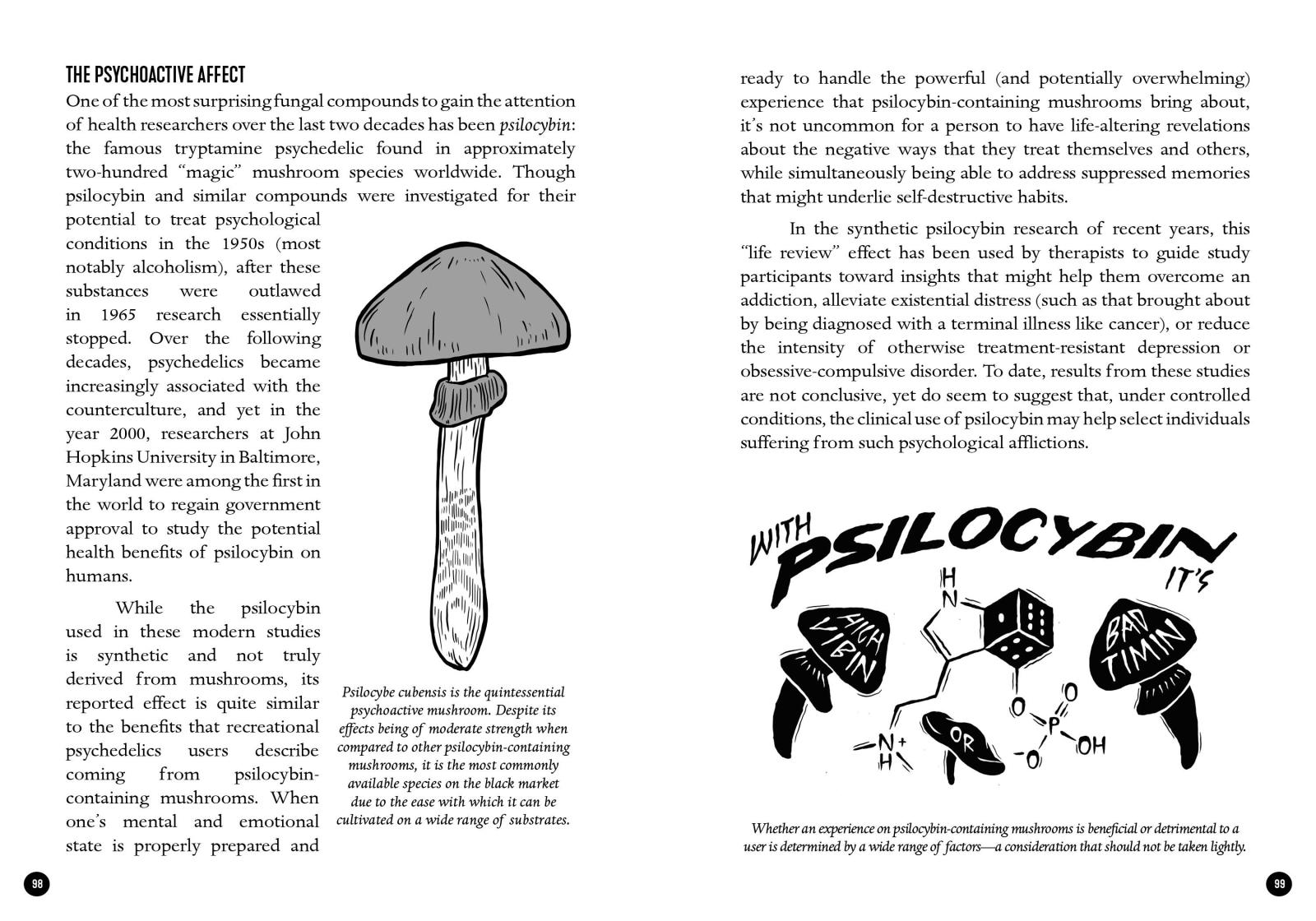 Révolution mycoculturelle : transformer notre monde avec des champignons, des lichens et d'autres champignons